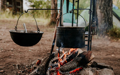 Шашлыки без штрафов: какие правила действуют в Кировской области?