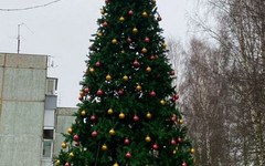 В Октябрьском районе начали устанавливать ёлки