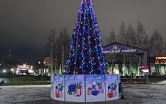 В Кочуровском парке появилась новогодняя ель