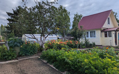 Чем обработать сад, чтобы победить клещей?