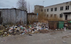 Жители посёлка в Подосиновском районе написали открытое письмо губернатору из-за мусорного коллапса в поселении