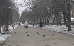 Рынок труда Кировской области на подъеме: активность соискателей выросла на треть