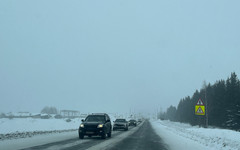 Многодетным семьям могут разрешить покупать машину на маткапитал