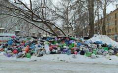 Прокуратура возбудила восемь административных дел из-за несвоевременного вывоза мусора в Кировской области