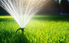 Всё лучшее для вашего сада: обзор новинок «Garden Жук» в магазинах «Вятская усадьба»