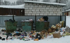 «Куприт» прокомментировал ситуацию с мусорным коллапсом в Демьяново